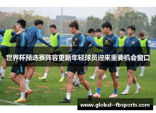 世界杯预选赛阵容更新年轻球员迎来重要机会窗口 世界杯预选赛阵容更新年轻球员迎来重要机会窗口