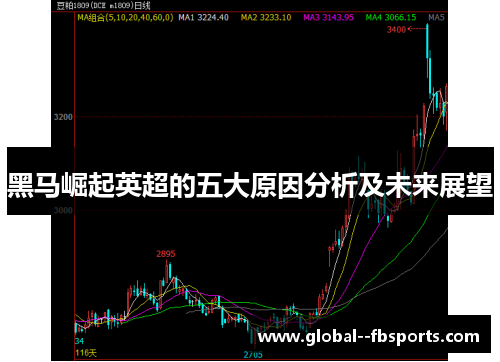 黑马崛起英超的五大原因分析及未来展望 黑马崛起英超的五大原因分析及未来展望
